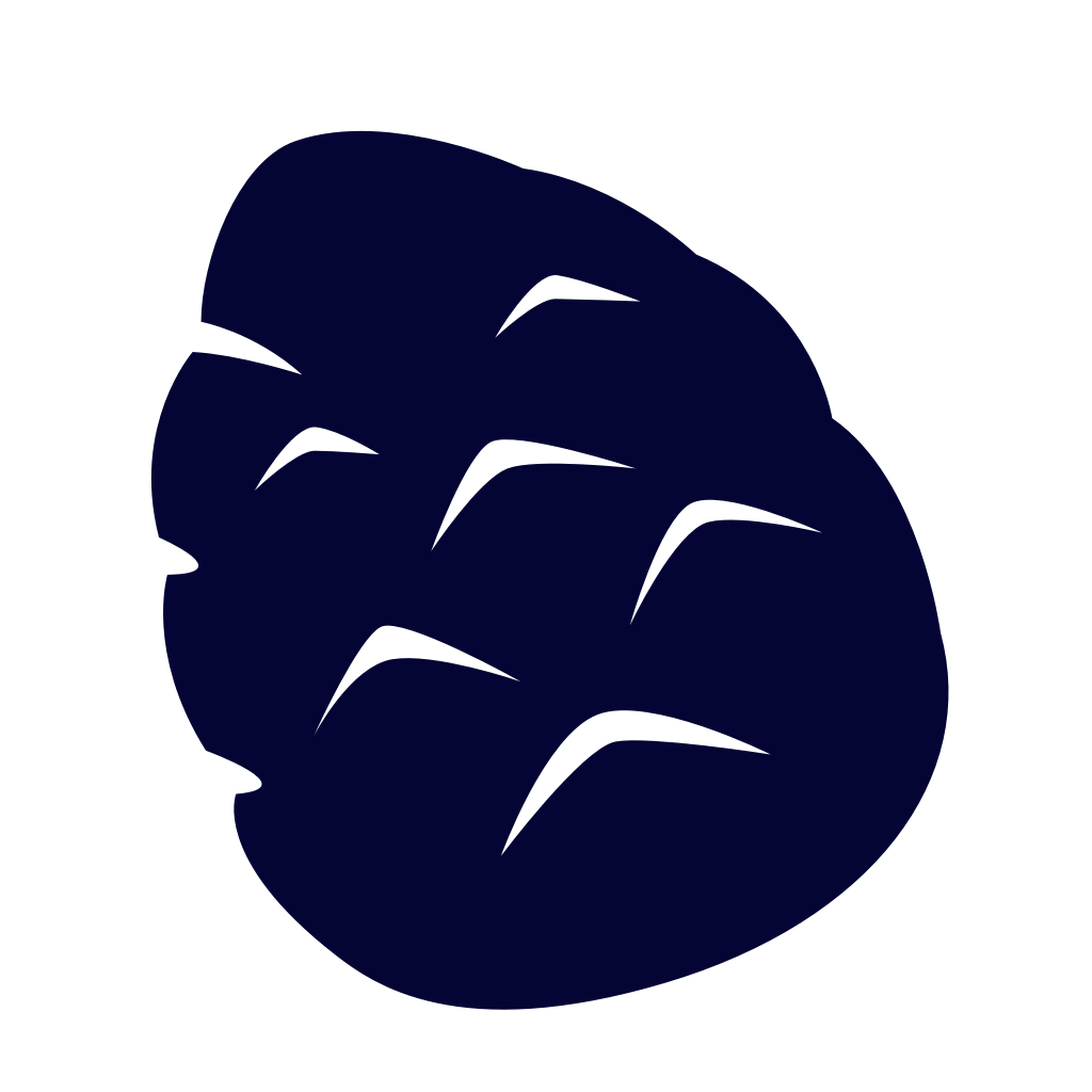 Cone