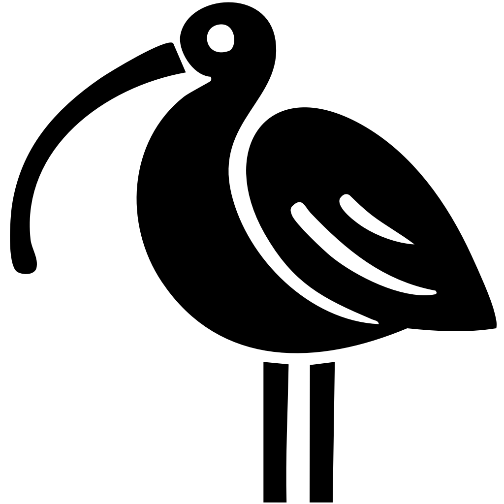 Silver Ibis